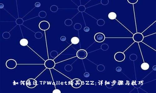 如何通过TPWallet购买BZZ：详细步骤与技巧