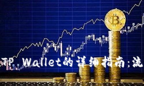人民币充值到TP Wallet的详细指南：流程与注意事项