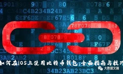 如何在iOS上使用比特币钱包：全面指南与技巧