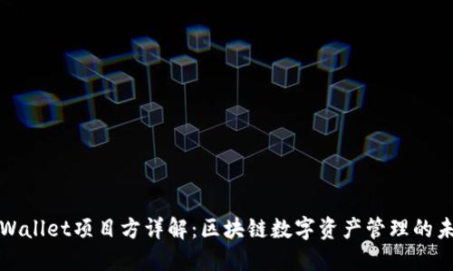 TPWallet项目方详解：区块链数字资产管理的未来