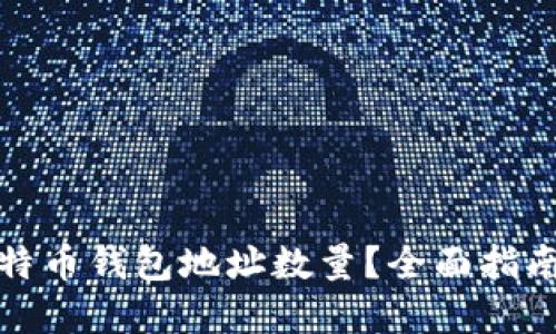 如何查看比特币钱包地址数量？全面指南与实用技巧