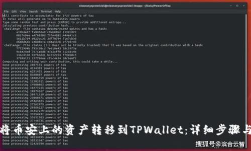 如何将币安上的资产转移到TPWallet：详细步骤与技巧