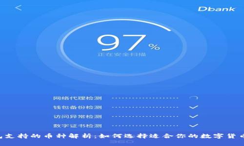 IM钱包支持的币种解析：如何选择适合你的数字货币钱包？