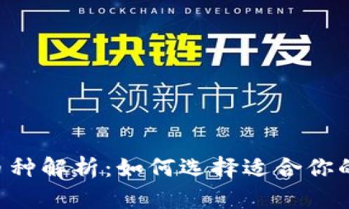 IM钱包支持的币种解析：如何选择适合你的数字货币钱包？