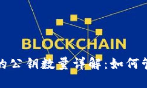 比特币钱包的公钥数量详解：如何管理与安全性