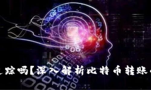 比特币钱包转账可追踪吗？深入解析比特币转账的隐私性与可追踪性