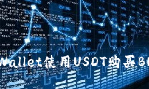 如何通过TPWallet使用USDT购买BNB：完整指南