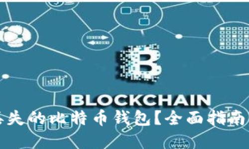 怎样找回丢失的比特币钱包？全面指南与实用技巧
