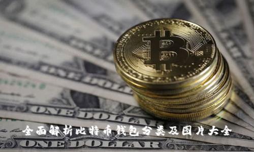 全面解析比特币钱包分类及图片大全