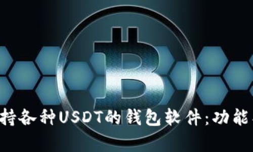 全面解析支持各种USDT的钱包软件：功能、特点与推荐