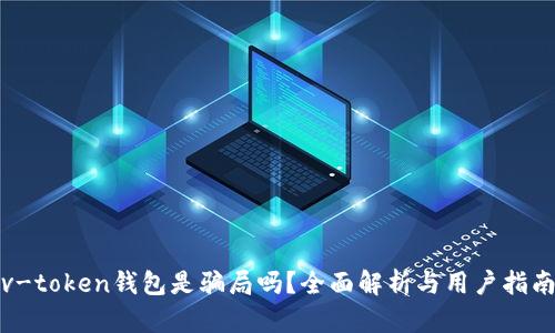 v-token钱包是骗局吗？全面解析与用户指南