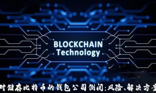 
如何应对储存比特币的钱包公司倒闭：风险、解决方案及建议