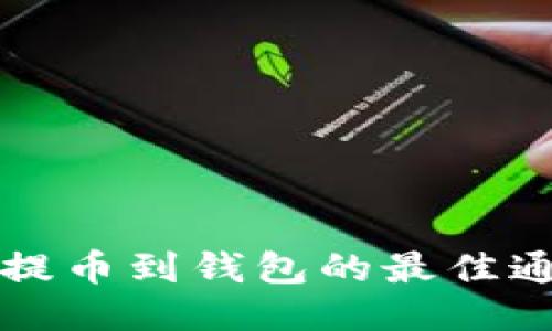 狗狗币提币到钱包的最佳通道指南