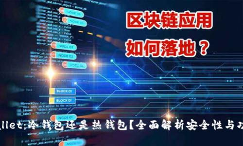 TPWallet：冷钱包还是热钱包？全面解析安全性与功能性