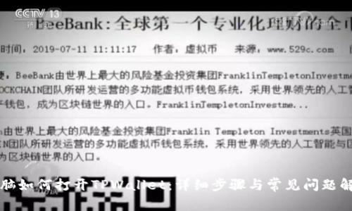 电脑如何打开TPWallet：详细步骤与常见问题解答