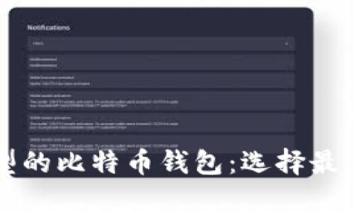 深入了解不同类型的比特币钱包：选择最适合你的钱包类型