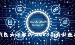 比特币官方钱包大小解析